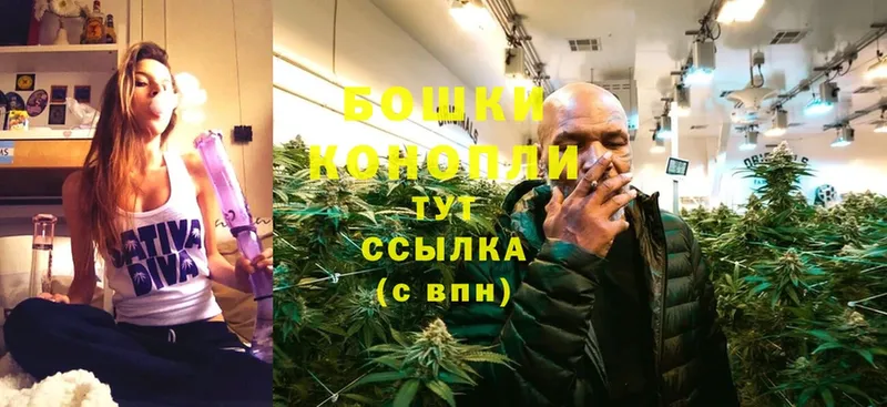 Конопля SATIVA & INDICA  МЕГА зеркало  Кандалакша 